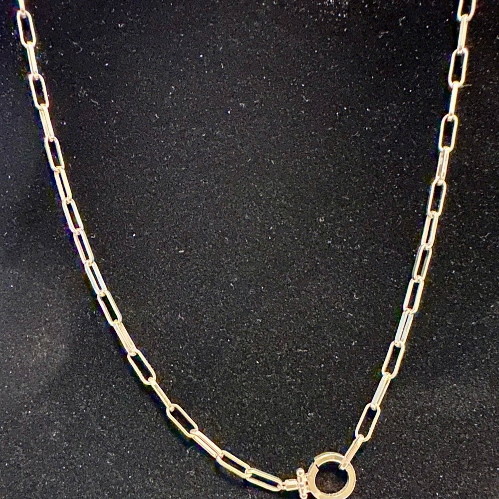 Paperclip necklace